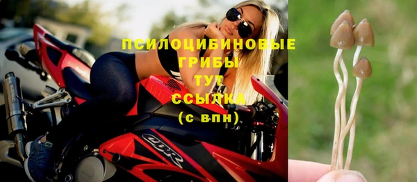 герыч Балахна