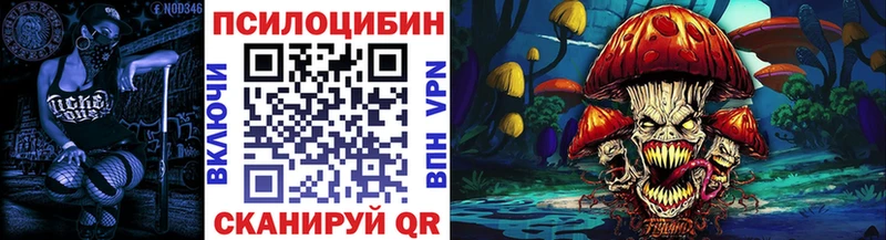OMG рабочий сайт  Свободный  Галлюциногенные грибы Psilocybine cubensis 